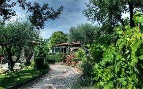 B&B Villa Garden